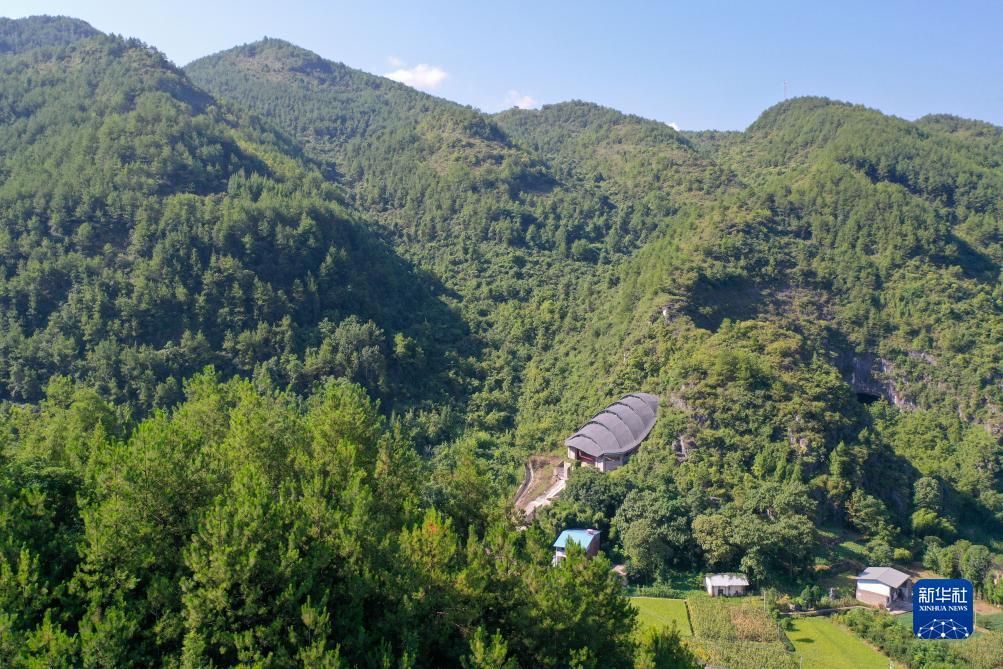 皇冠手机登入网址